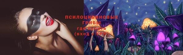 сатива Сафоново
